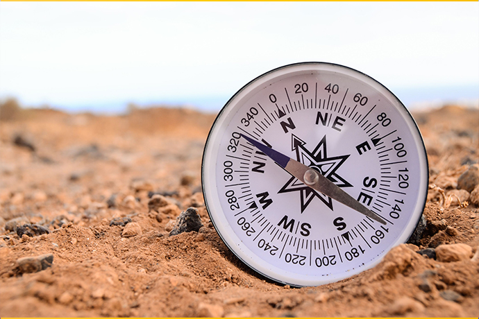 How Organisations Can Grow Comfort Zones