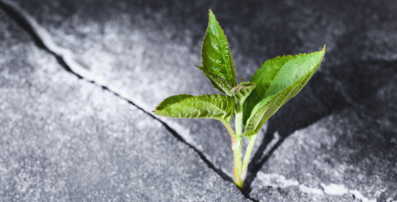 From Burnout to Breakthrough: How to Stay Resilient