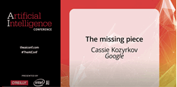 The missing piece- Cassie Kozyrkov (Google)