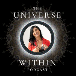 Ep. 90 - Dr. Alka Patel - Health As a Verb, Allopathic Care, & Holistic Medicine