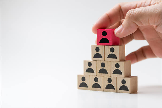 Organizational Structure 690X460