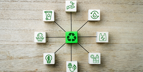 Strategies for Building a Sustainable Workforce)