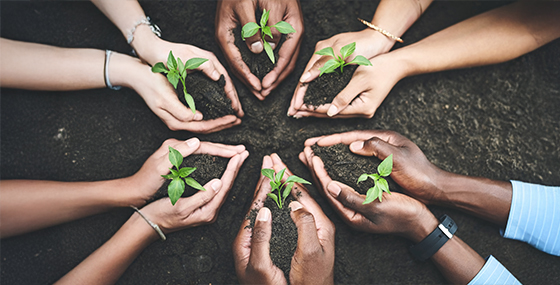 The Urgency of Climate Action: Insights from Leading Experts