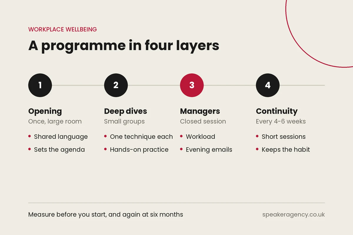 A wellbeing programme in four layers: opening session, deep-dive modules, manager session and a continuity rhythm every 4-6 weeks