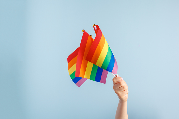 Meaning Of Lgbt Flag