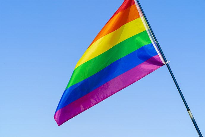 Lgbt Flag