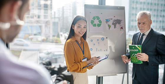 Sustainable Business Strategies)