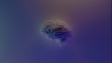 Neurodiversity Speakers