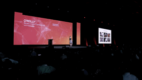 Staying safe in the AI era - Cassie Kozyrkov (Google)