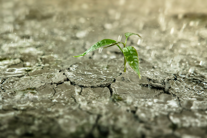 Organisational Resilience Examples
