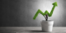 Sustainable Success and Success Stories)