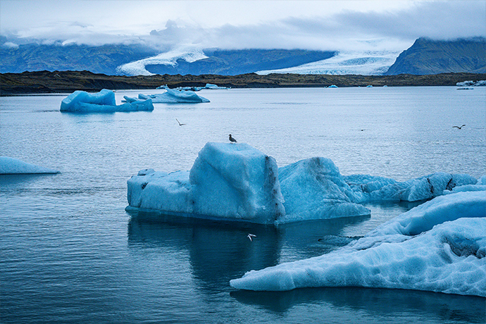 What Is Climate Action​