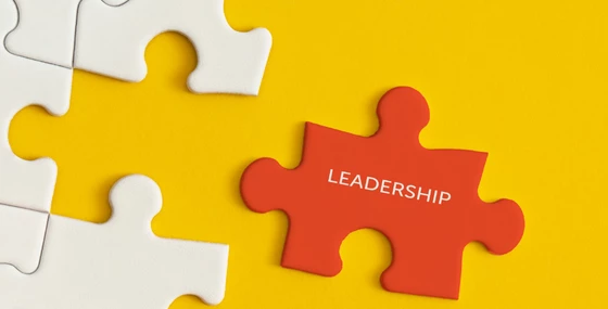 Evidence-Based Strategies for Inclusive Leadership)