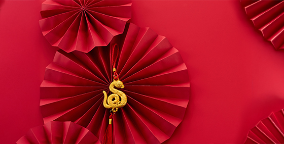 The Meaning of the Year of the Snake: Wisdom, Transformation, and Adaptability