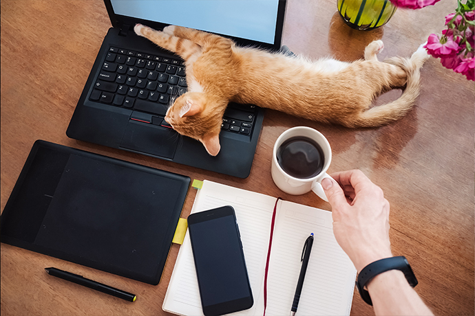 Digital Nomad Jobs For Beginners