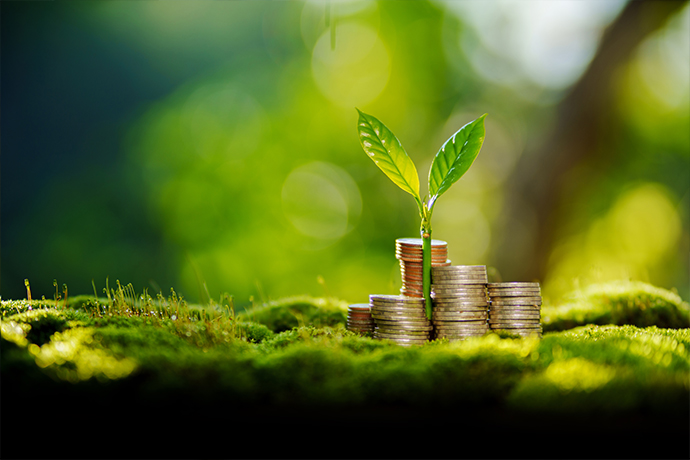 6 Strategies For Achieving Economic Sustainability