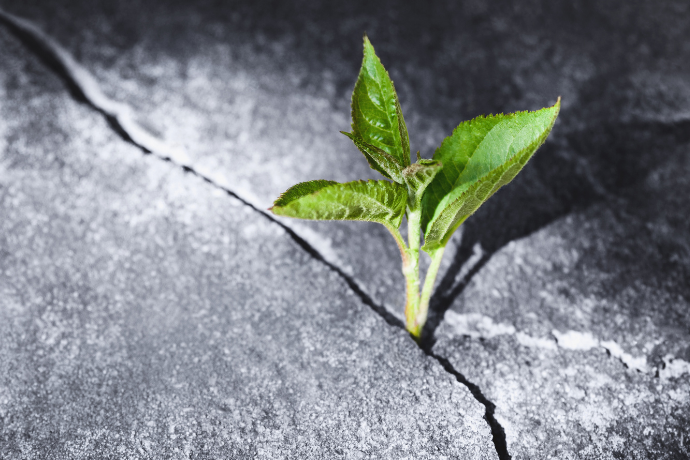 How To Stay Resilient