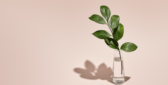 What is   Minimalism? 