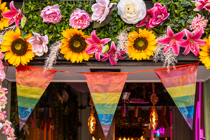 Pride Facts And History