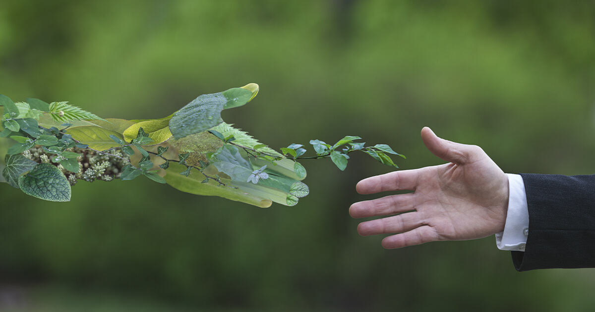 Sustainable practices
