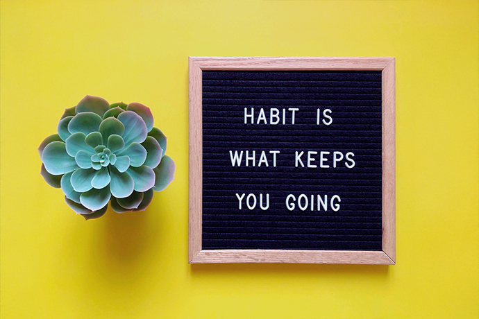 The Neurobiology Of Habits
